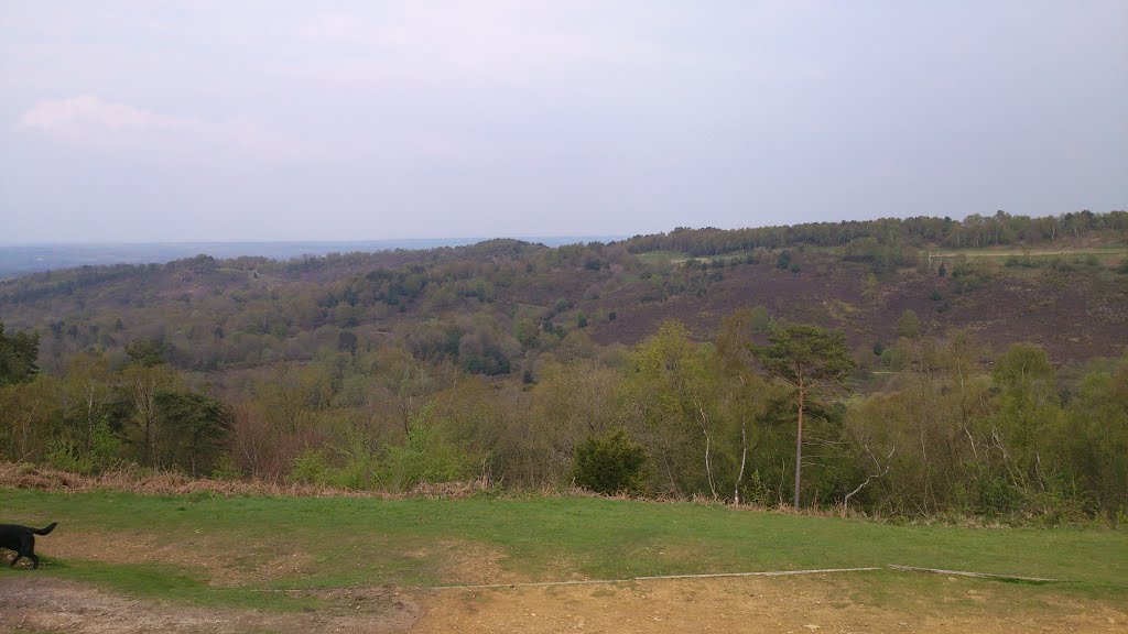 Devil's Punch Bowl, Hindhead, Surrey, UK by Michael Boks