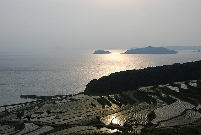 Golden color terrace paddy field by 道下保