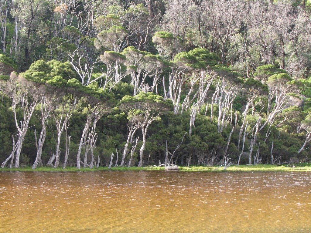 Tidal River, Wilsons Promontory, Victoria by spocit