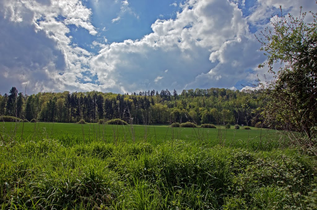 Dramatische Wiesen by Jürgen Düring