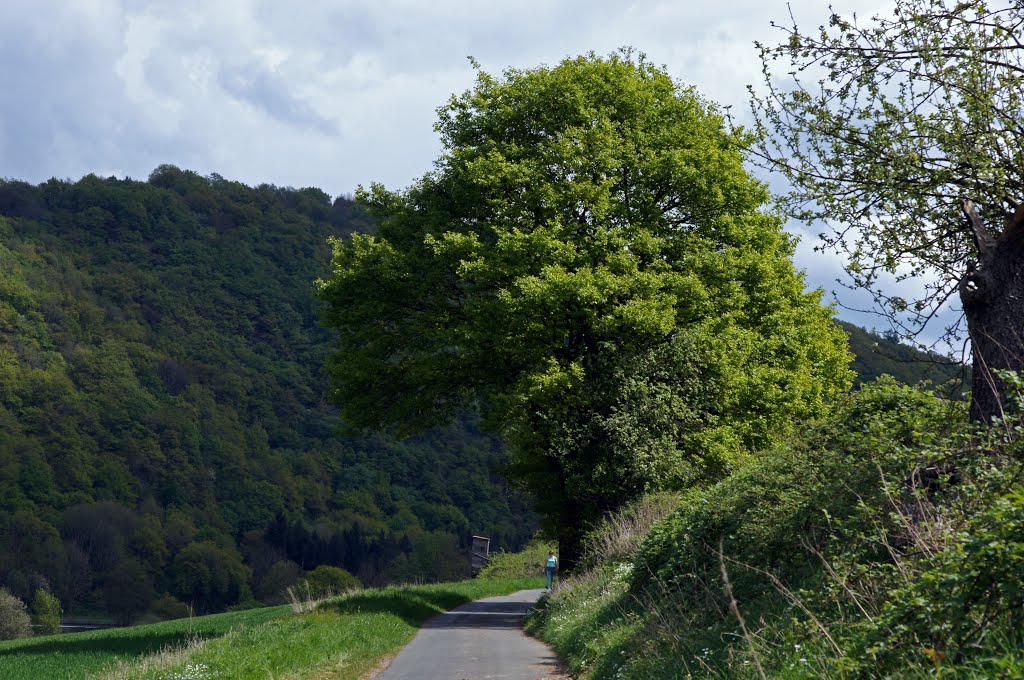 Schwer zu fotografieren ohne das jemand reinlatscht... by Jürgen Düring