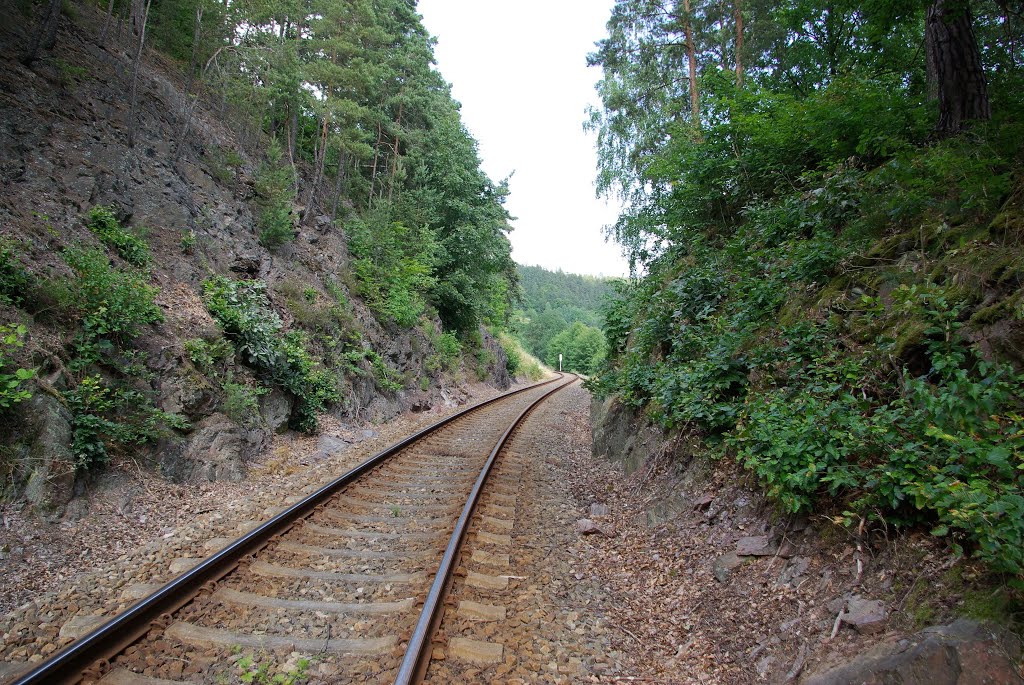 Bahnstrecke der "Schwarzatalbahn" an der Bergkirche - Sitzendorf, n.N-O (i) by Herzi♥81