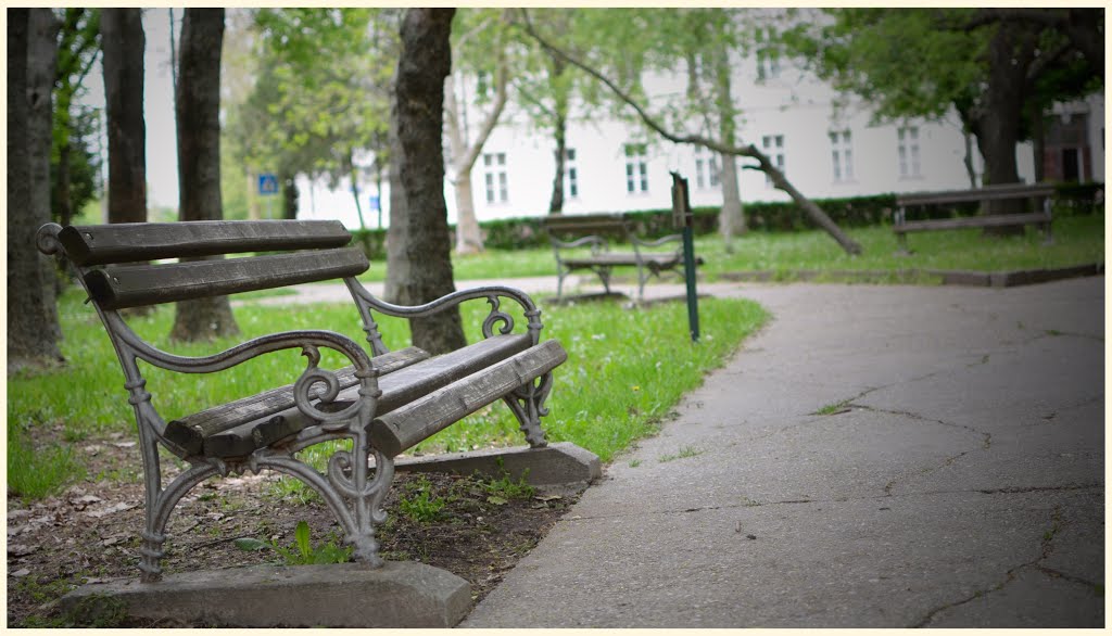 Park in Kovačica by Марко Миленковић