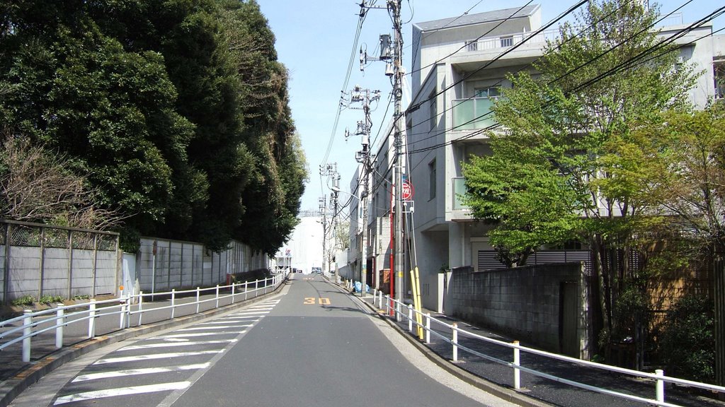 The residential street of Shirokanedai, Minato-ku. 港区白金台の住宅街。 by 7l1ksv