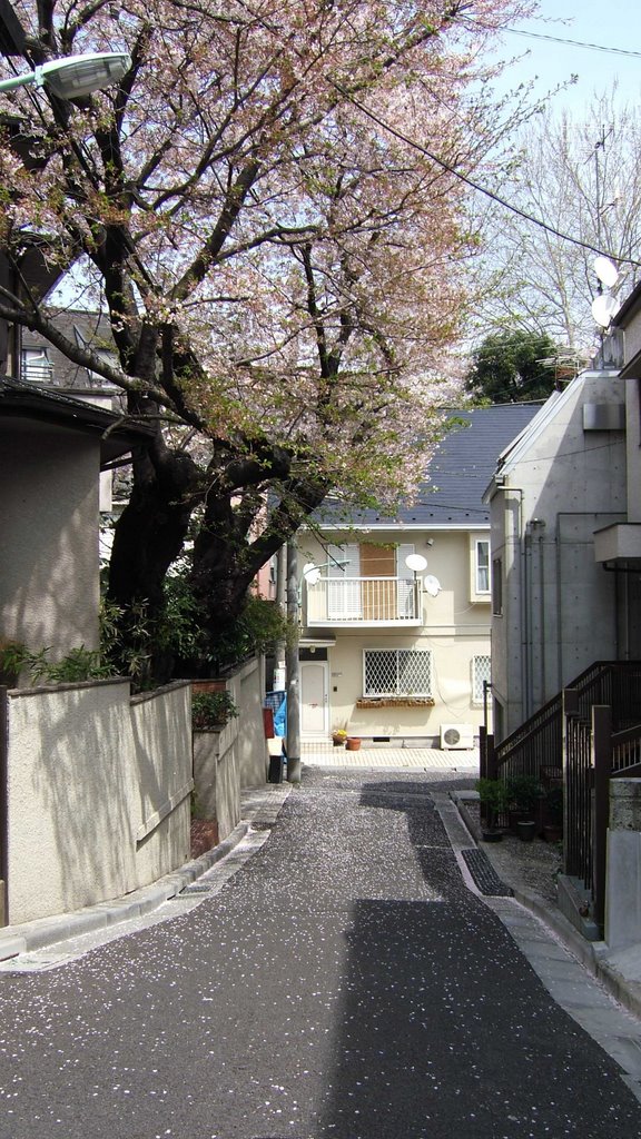 The residential street of Shirokanedai, Minato-ku. 港区白金台の住宅街。 by 7l1ksv