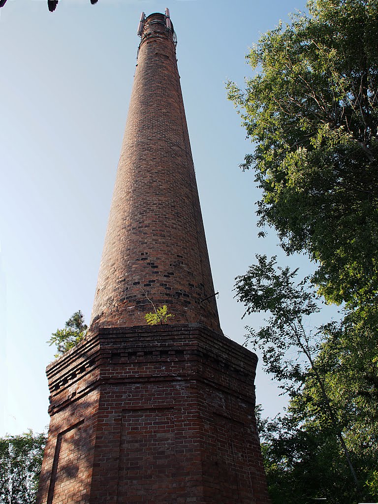 Old factory chimney by emil sluga