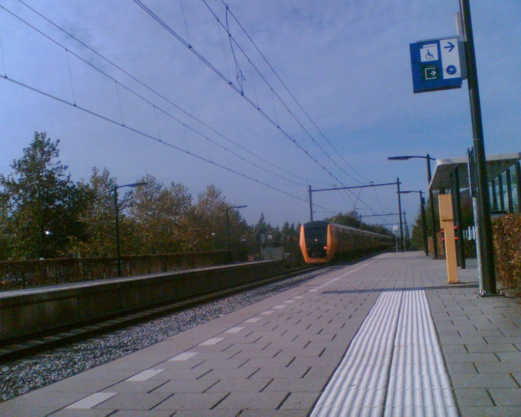 Station Drienerlo te Enschede by Koos van der Veer