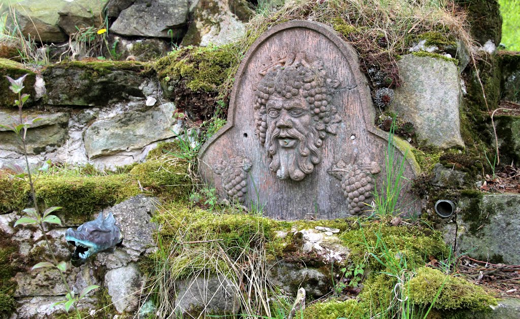 Küps-Tiefenklein Was sucht der Bacchus am Karpfenteich? by Contessa