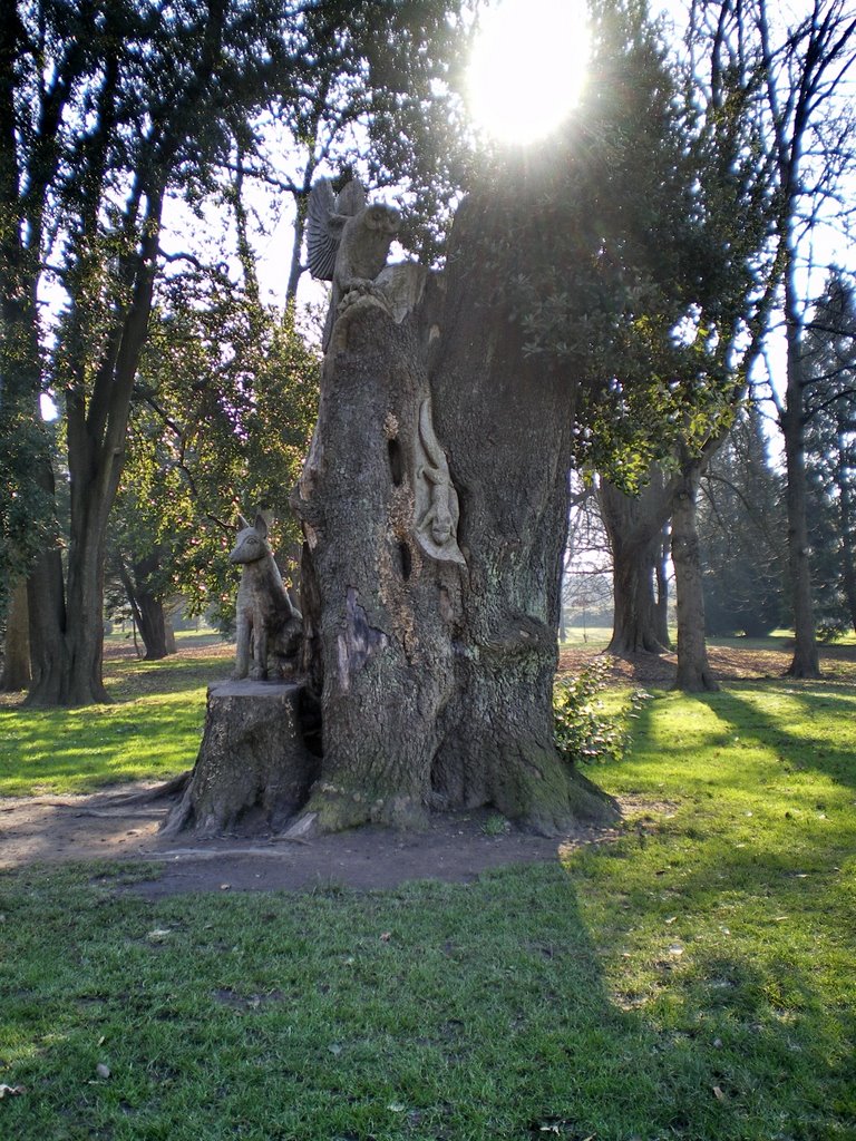 Art in Bute Park by Gareth.Stadden