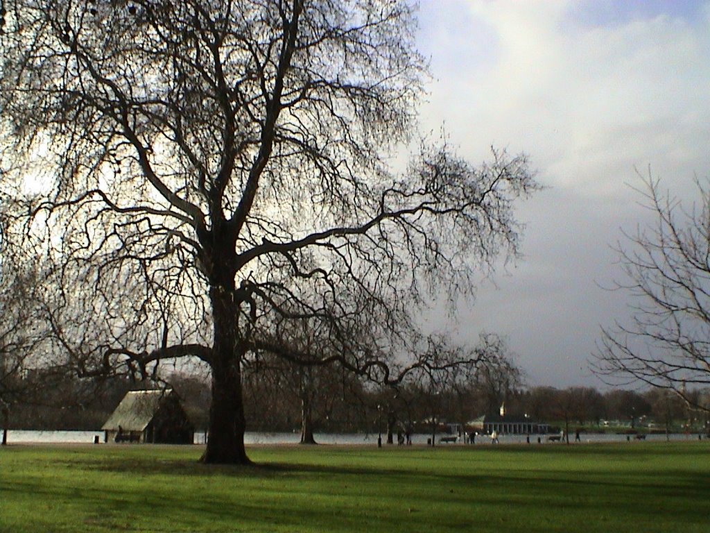 Vista de Hyde Park en invierno by c-nutrio