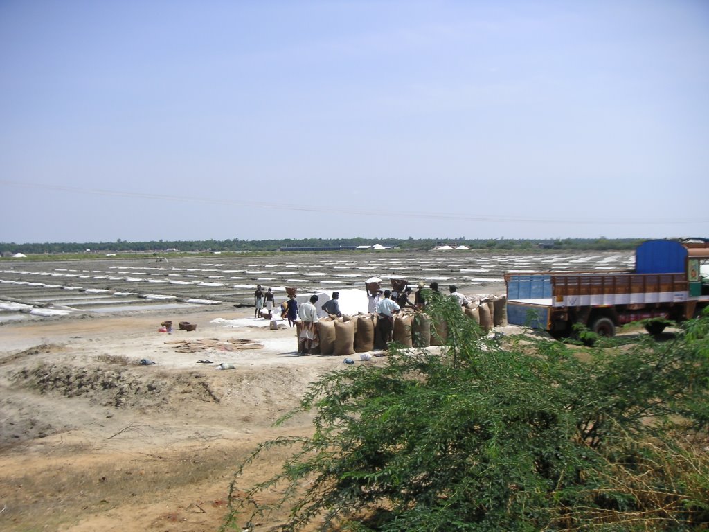 Salt harvesting near Māmallapuram by vrenken