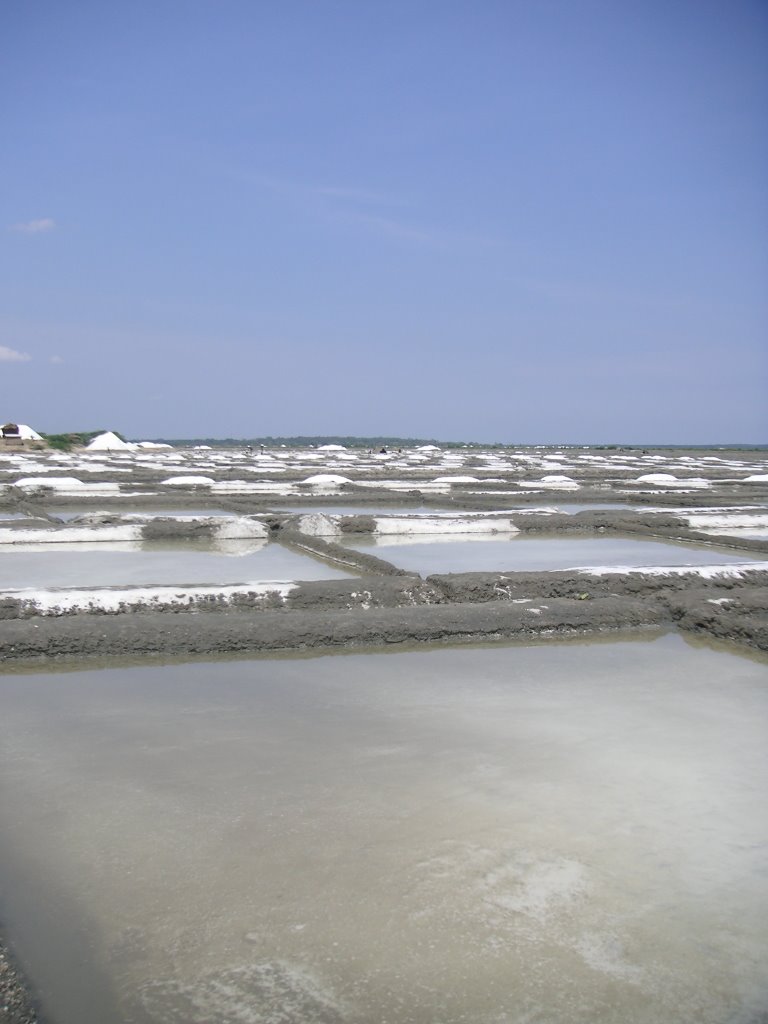 Salt harvesting near Māmallapuram by vrenken