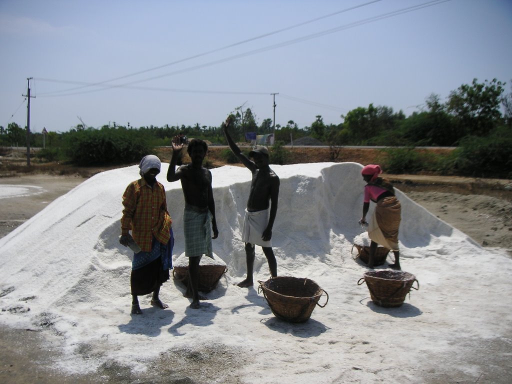 Salt harvesting near Māmallapuram by vrenken