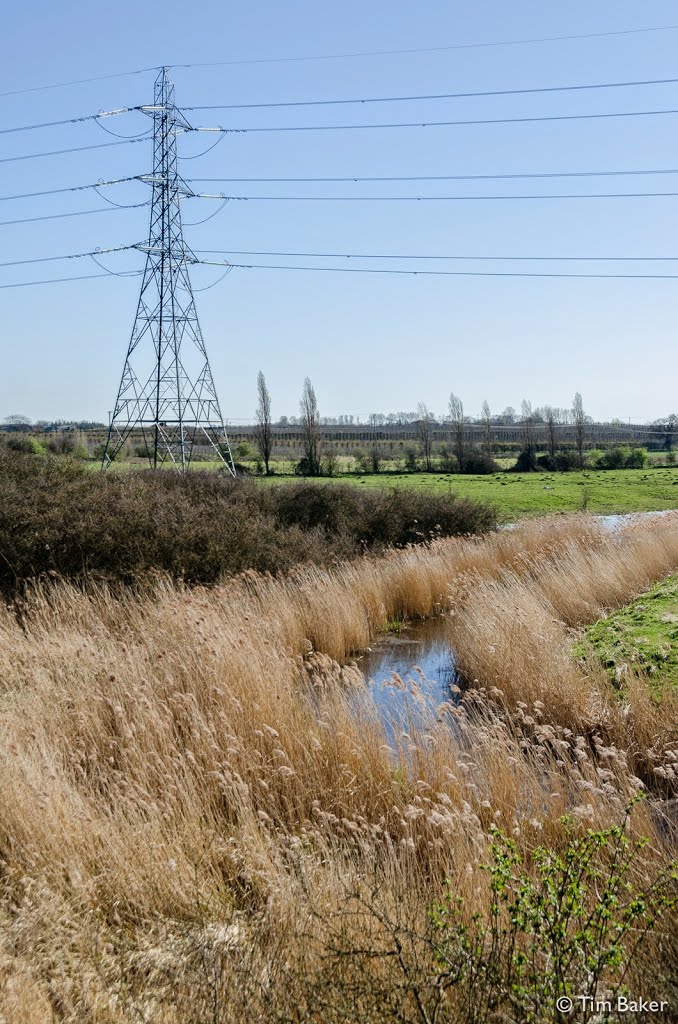 Teynham to Swale by fingertrouble