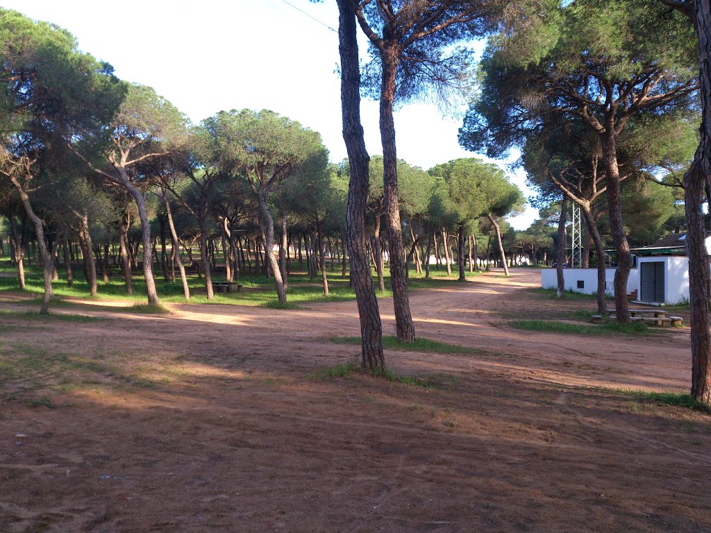 Merendero - Pradera de San Isidro, Cartaya by fukigaeshi