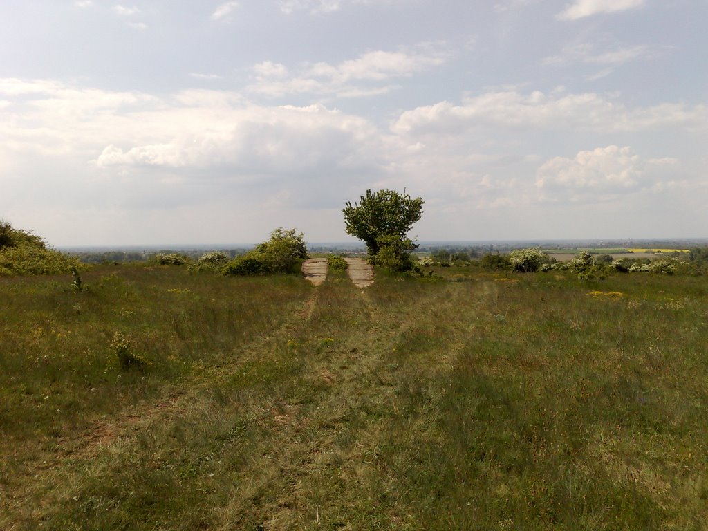 Nagytevel, Hungary by Tibor Kállai