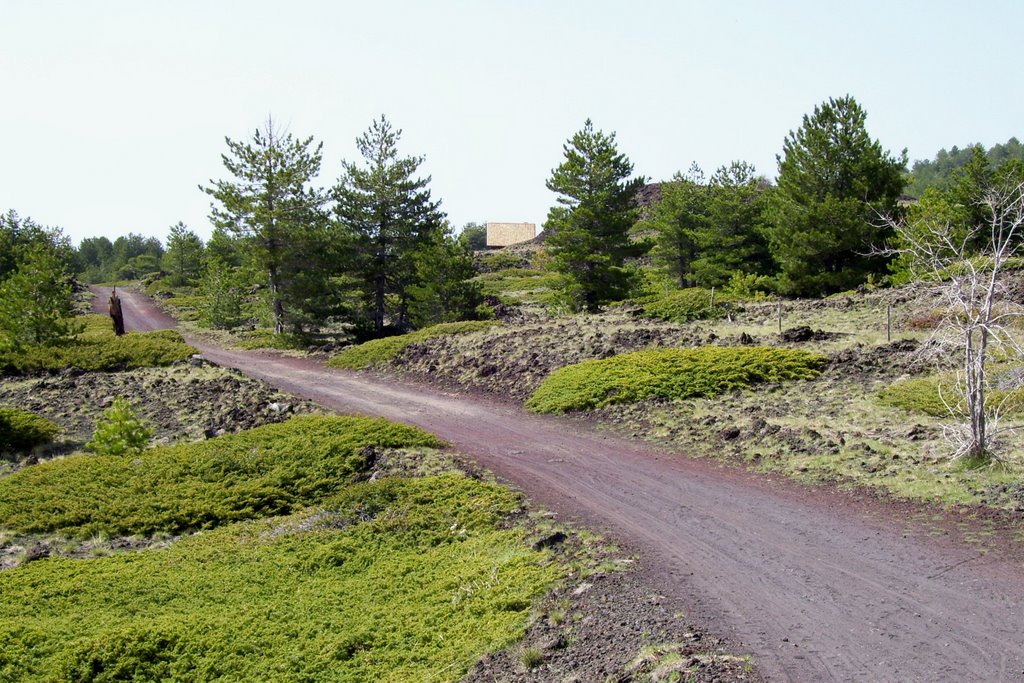 Nei pressi del rifugio Galvarina by Alain Risuglia