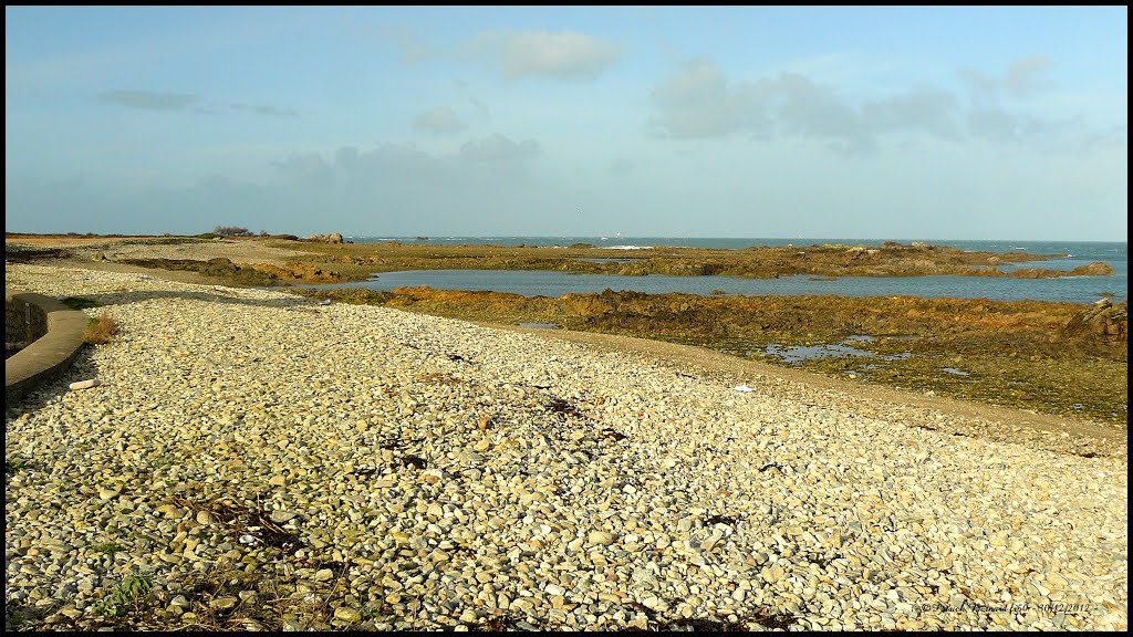 Omonville-la-Rogue - Plage de galets by Patrick BERNARD