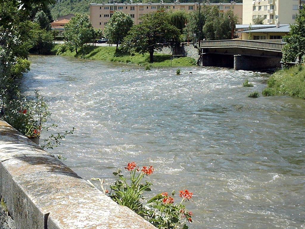 Tarascon sur Ariège (09) Au confluent de l'Ariège et du Vicdessos - 26.05.2008 by Jamy.R