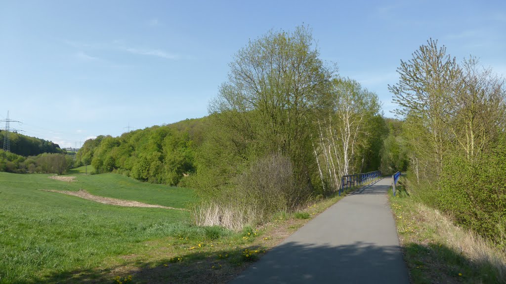 Ederseebahn-Radweg bei Buhlen by M.Morell