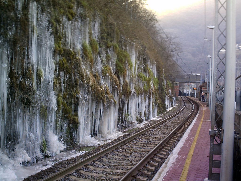 LA TRANSIBERIANA LOCALE by virginiocastelli