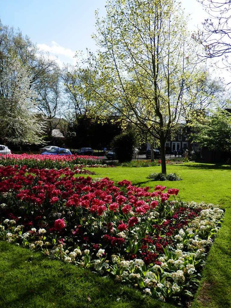 Southwark Park by Mihalec Hedvig