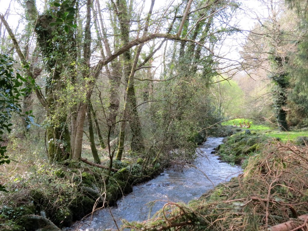 Riec-sur-Belon - Moulin Poulfanc - Le petit cours d'eau by epaulard59