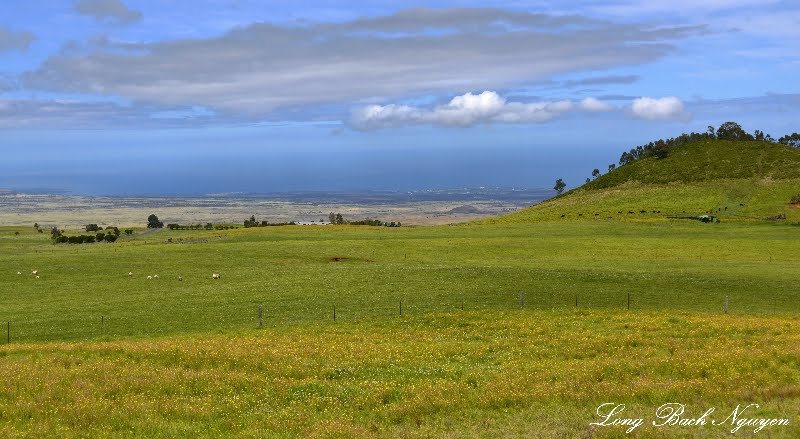 Green Field, Saddle Road, Waiki'i, Big Island, Hawaii by longbachnguyen