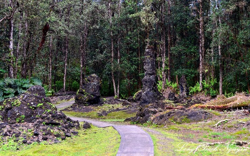 Lava Tree Mold, Lava Tree Monument, Pahoa, Hawaii by longbachnguyen