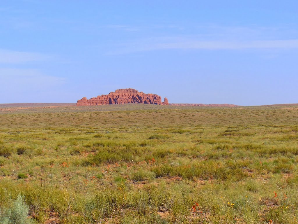 USA. Utah. Goblin Valley area, Cathedrals in pairie. by ®mene