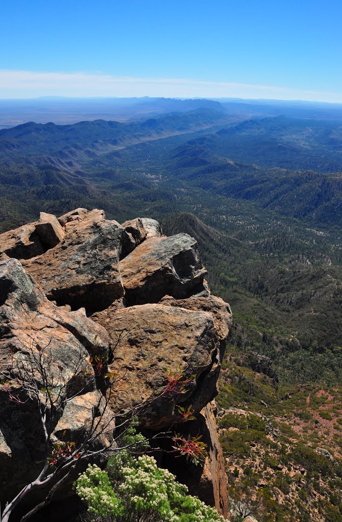 Northerly view from top of St Mary's Peak by singing geo