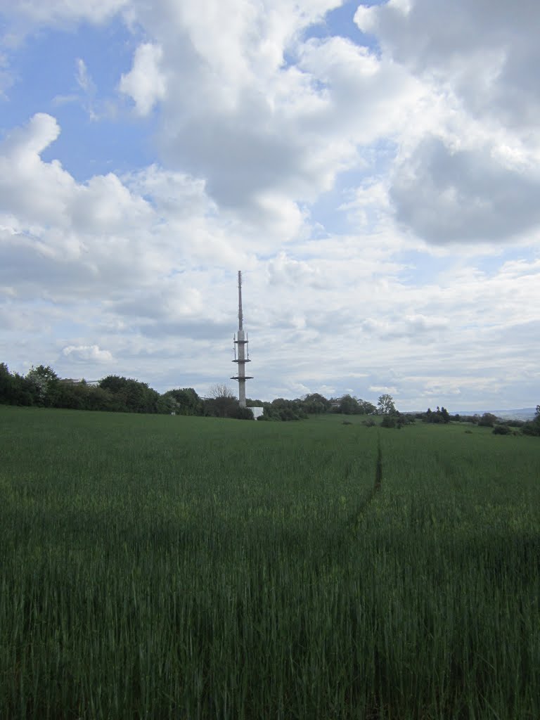 Funkturm Zweibrücken 4 / 4 by mannheim