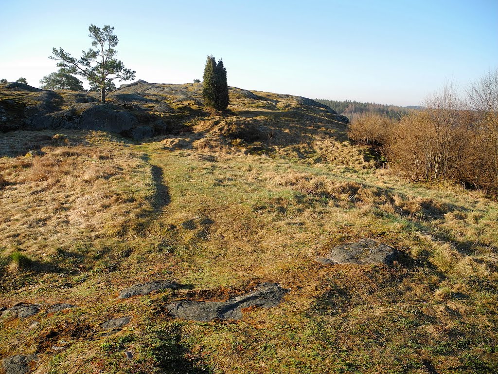 Vanhalinna fort hill (Lieto, 20140420) by RainoL