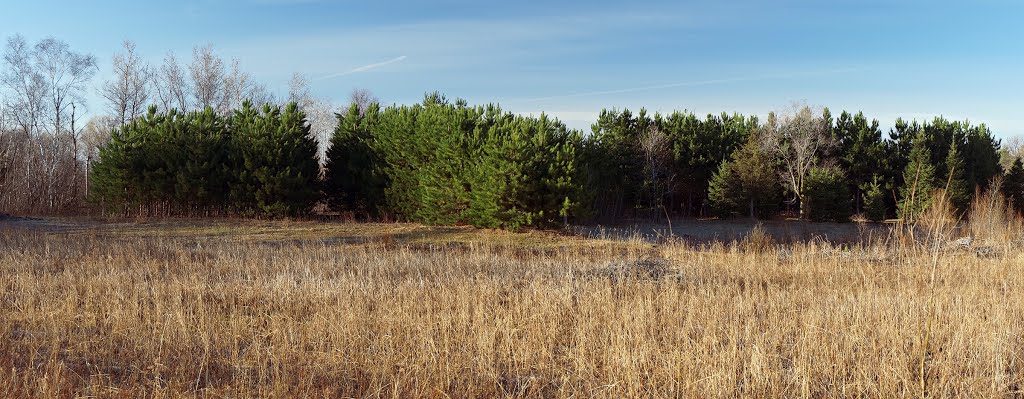 Wide Panorama, North Woods Preserve, Andover, Minnesota by © Tom Cooper