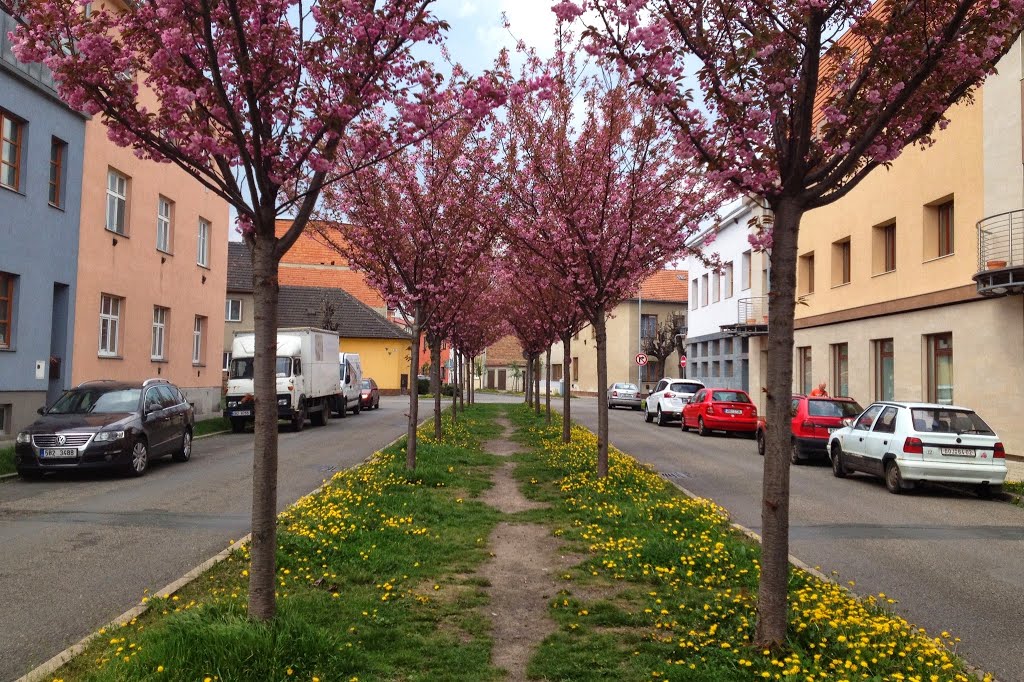 Ul. Vojanova, Brno - Židenice by Mí Brno