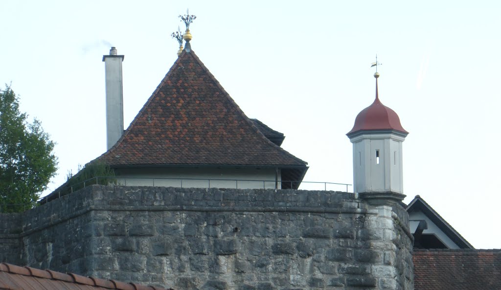 Ausschnitt der Aarburg by bienenritter