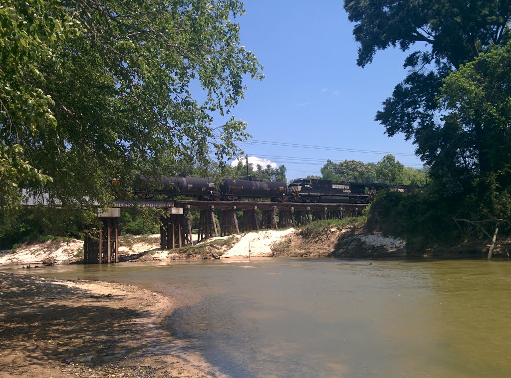 Frenchtown Road Conservation Area - Amite River by digiblur