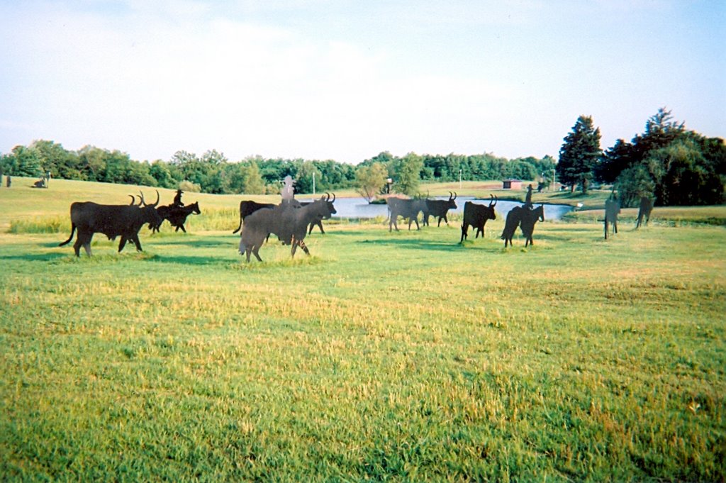 Silhouette of Cattle Drive in Bull Foot Park, Hennessey OK by BudinOK