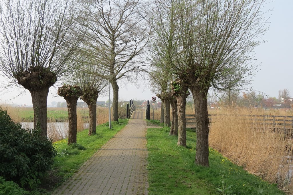 Knotwilgen, wandelpad en bruggetjes bij Gooimeer by Piet Guijt