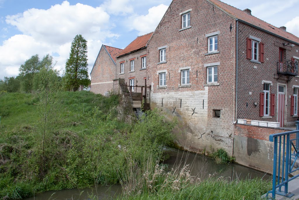 Vissenaken, Dalemse molen by aRGee