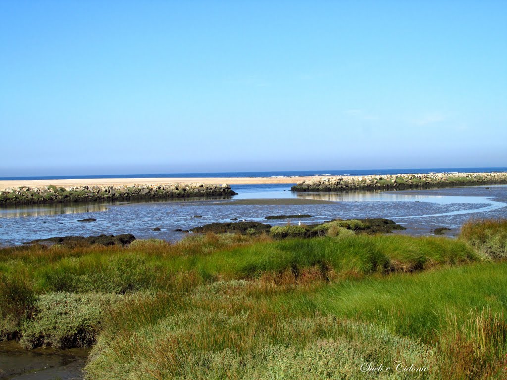 Esposende - Portugal by CidonioRinaldi