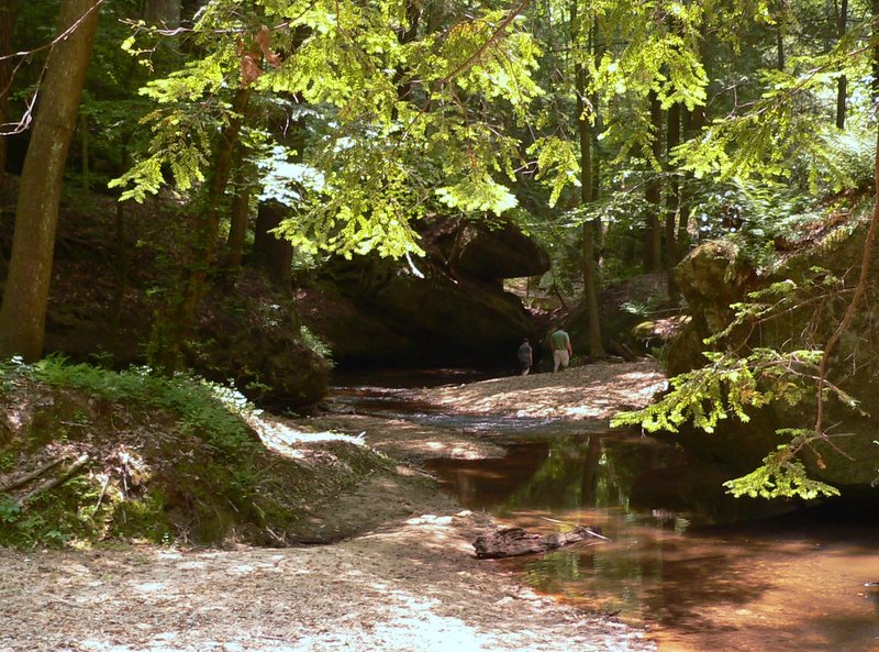 Dismals Canyon, Alabama by jgoforth