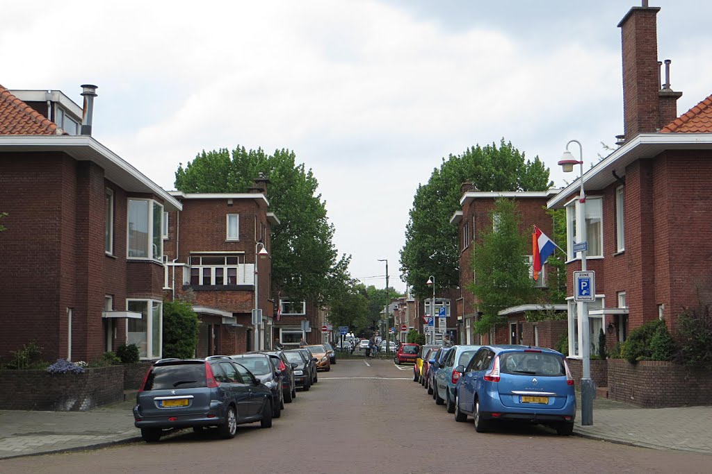 Abrikozenstraat by T N E