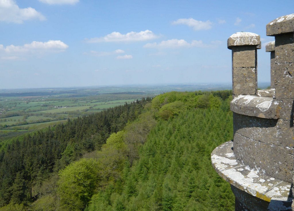 View from King Alfred's Tower by Michael Prior