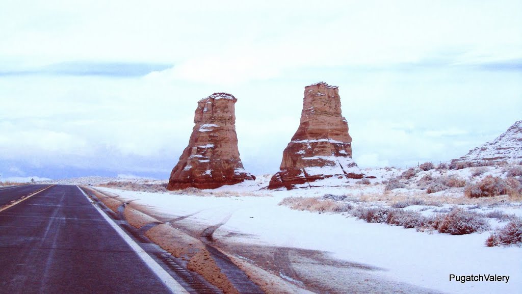 USA,Arizona,AZ,State of Arizona,US-AZ,Duplex - Elephant's Feet by valery pugatch