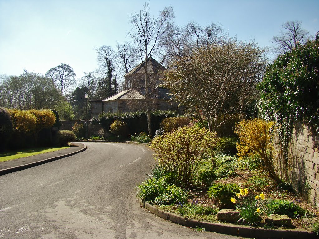 Spring scene on Old Hall Gardens from The Nook, Stoney Middleton S32 by six45ive