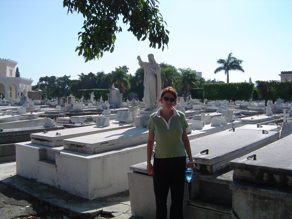 Colon Cemetery - La Havana by LuisMoro