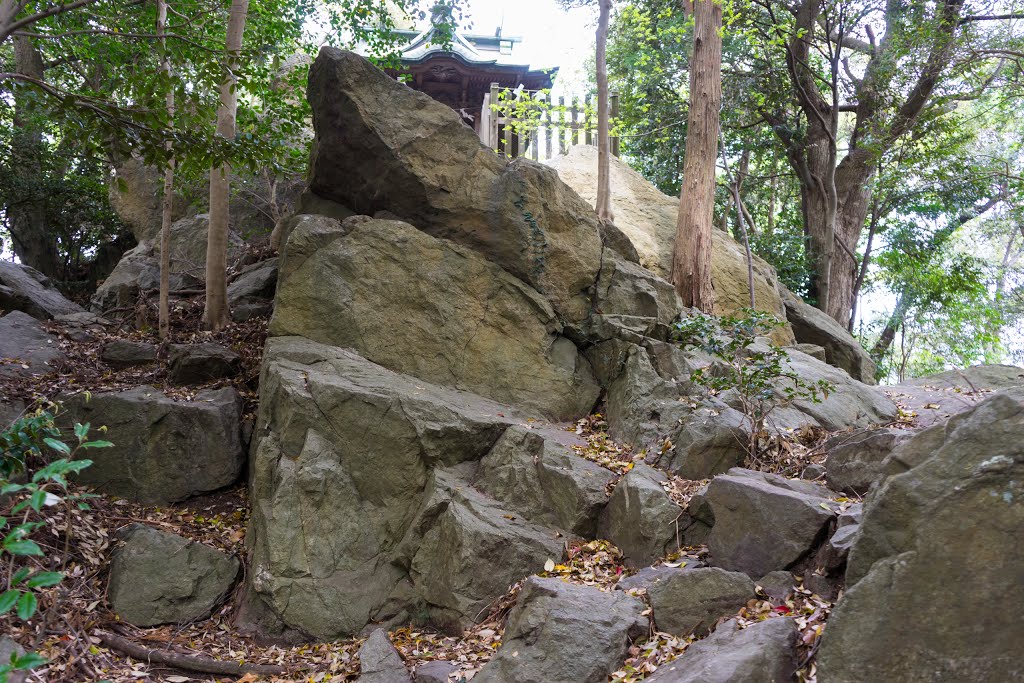 大甕倭文神社・宿魂石 -Ōmika Shizu Shrine- by Saruman8000