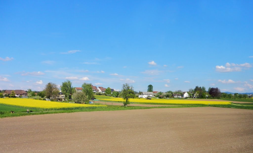 Sicht in Richtung Nänikon by dr.monnet