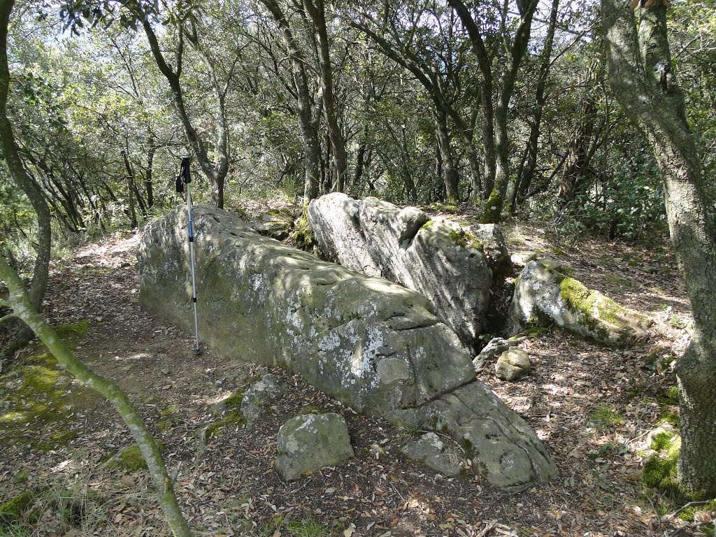 Dolmen de Mas Clamí. Castellterçol-Moianès/Bages by Sala-Serrahima